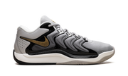 KD 17 "Light Iron Ore / Metallic Gold" FJ9487 003