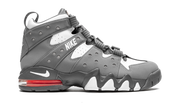 Air Max CB '94 "Cool Grey" DM8319 001