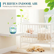 Indoor Air Purification Dust Removal Box – Plant-Based, No Electricity Needed