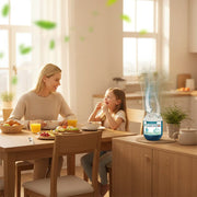 Indoor Air Purification Dust Removal Box – Plant-Based, No Electricity Needed