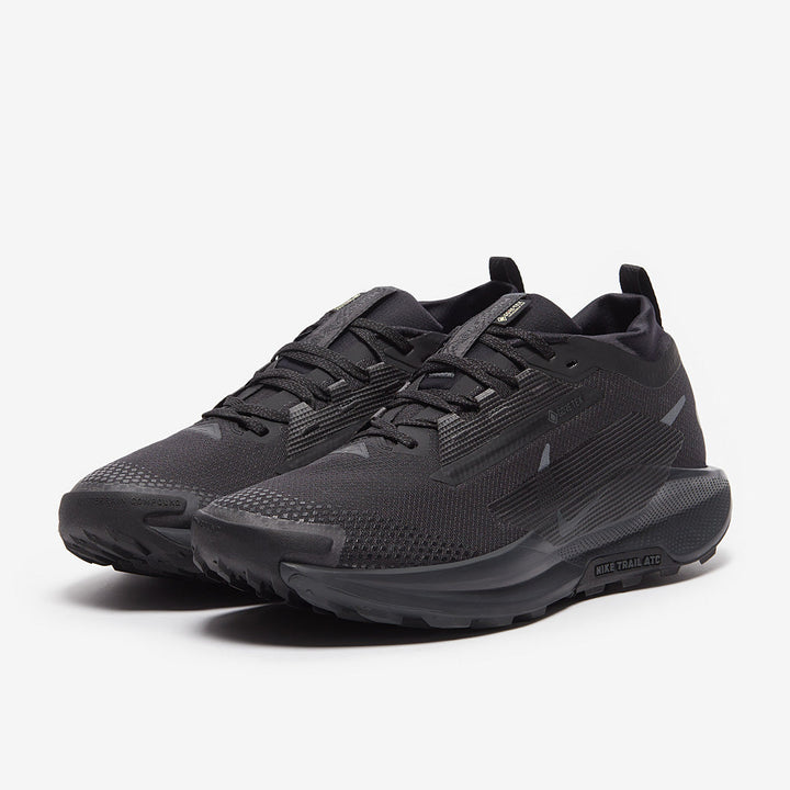 Nike Pegasus Trail 5 GORE-TEX