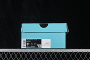 Nike Air Force 1 '07 Low Ice Blue Leopard FB8971-008