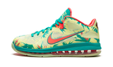 LeBron 9 Low "LeBronald Palmer" DO9355 300