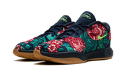 LeBron 21 "Grandma's Couch" FV7276 400