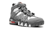 Air Max CB '94 "Cool Grey" DM8319 001