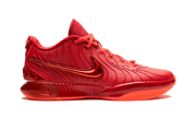 LeBron 21 "James Gang" HF5951 600