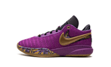 LeBron 20 GS "Young Heirs" FD0207 500