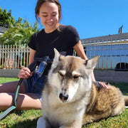 Pup Jet Dog Bathing Sprayer — 8-Mode Garden Hose Attachment