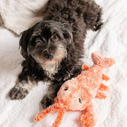 Electronics & Gadgets 49% OFF🔥Floppy Lobster Interactive Dog Toy