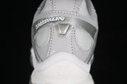 Salomon XT-Quest GTX Sneakers in Silver Gray