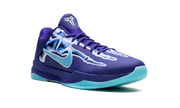 Zoom Kobe 5 Protro "X-Ray" HJ4303 400