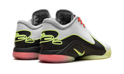 LeBron 22 "Crown Jewel" FZ1094 101