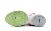 LeBron 22 "Christmas" HV5147 600