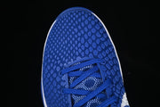 Nike Kobe VI Protro Dodgers Blue Basketball Shoes CW2190-400