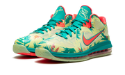 LeBron 9 Low "LeBronald Palmer" DO9355 300