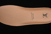 Louis Vuitton Buttersoft Low-Top Sneaker Brown 1AIKDW