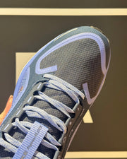 Nike Pegasus 41 GORE-TEX Running Shoes FQ1357-400 Blue