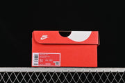Nike SB Dunk Low White and Grey Sneakers FB9109-124