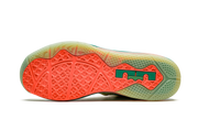 Lebron 9 Low "Arnold Palmer" 338141 836 C