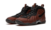 Little Posite Pro GS "Color Shift" 644792 800