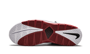 Zoom Lebron III QS "Home Release" AO2434 101