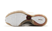 Lebron VII P.S (POP) "MVP" 408758 100