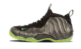 Air Foamposite One "HOH" 314996 030