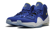 Air Penny 5 "Blue Chips" 537331 402