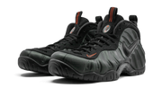 Air Foamposite Pro "Sequoia" 624041 304