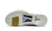 Kobe 5 Protro "Big Stage/Parade" CT8014 100