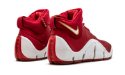 Zoom Lebron 4 "China" 314647 611