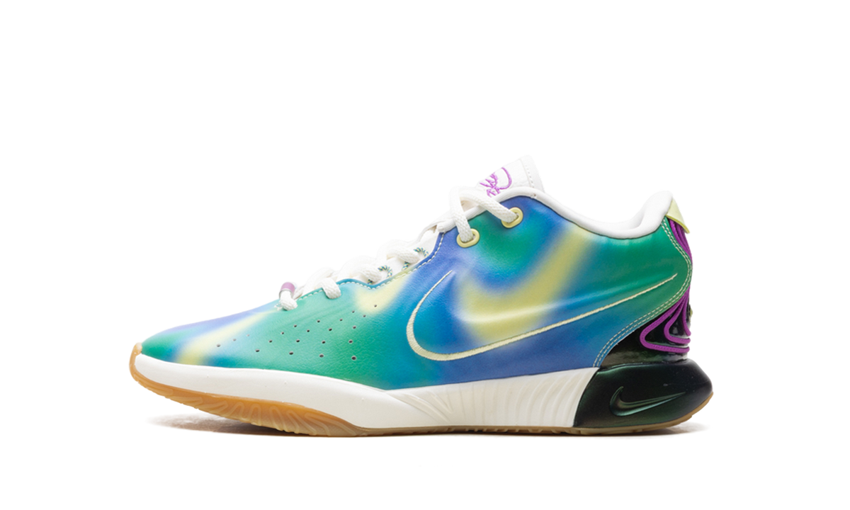 LeBron 21 GS "Multi-Color" FN4305 900