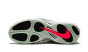 Air Foamposite Pro PRM "Pure Platinum" 616750 003