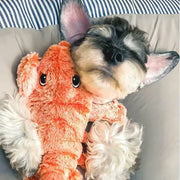 Electronics & Gadgets 49% OFF🔥Floppy Lobster Interactive Dog Toy