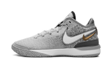Zoom LeBron NXXT Gen "Wolf Grey Metallic Gold" DR8784 004