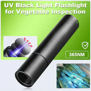 UV Black Light Flashlight