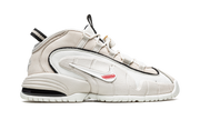 Air Max Penny 1 "Social Status - Desert Sand" DM9130 100