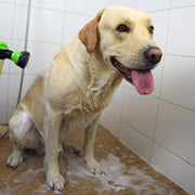 Pup Jet Dog Bathing Sprayer — 8-Mode Garden Hose Attachment