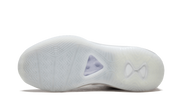 Lebron Icon QS "John Elliot" AQ0114 100
