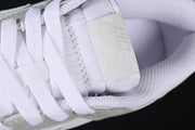 Nike SB Dunk Low White and Grey Sneakers FB9109-124
