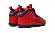 Little Posite Pro (GS) "USA" CZ2520 600