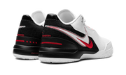 Zoom LeBron NXXT Gen AMPD "First Game" FJ1566 100