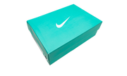 Air Force 1 Low "Tiffany and Co." DZ1382 001