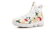 Lebron 15 Perf "King's Cloak" AJ3936 100