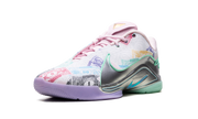 Lebron XXII QS "Monopoly Currency" FZ1097 100