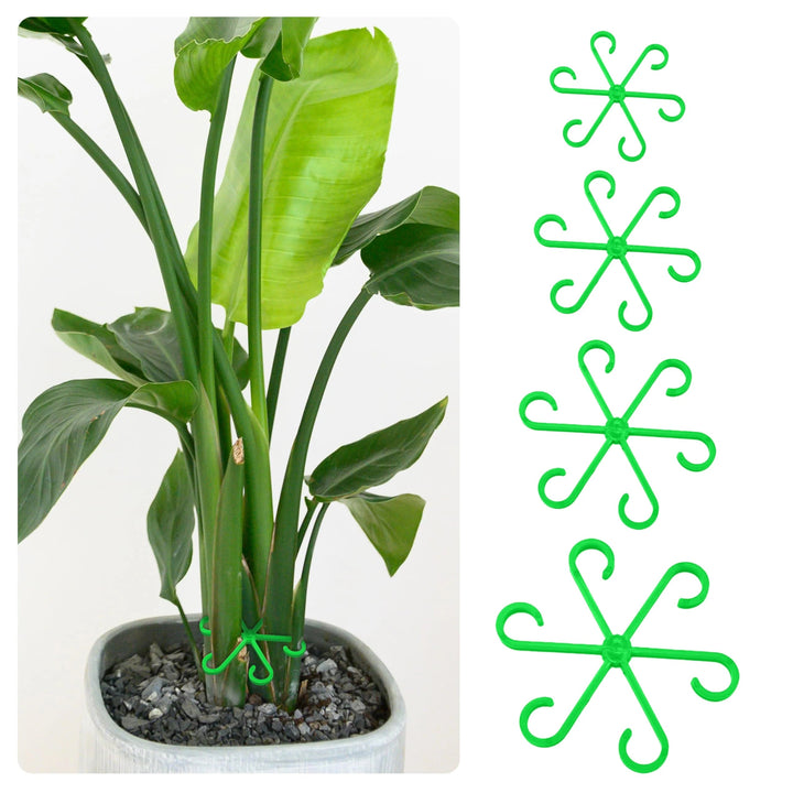 🏆Flash Sale⚡ 50K+ SOLD! Almost Gone-🌿Plant Stem Support Set