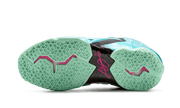 Lebron 11 "South Beach" 616175 330