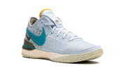 Nike Zoom LeBron NXXT Gen "Blue Tint" DR8784 400