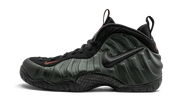 Air Foamposite Pro "Sequoia" 624041 304