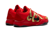 Zoom Kobe 5 "Year of the Mamba" HF5182 600